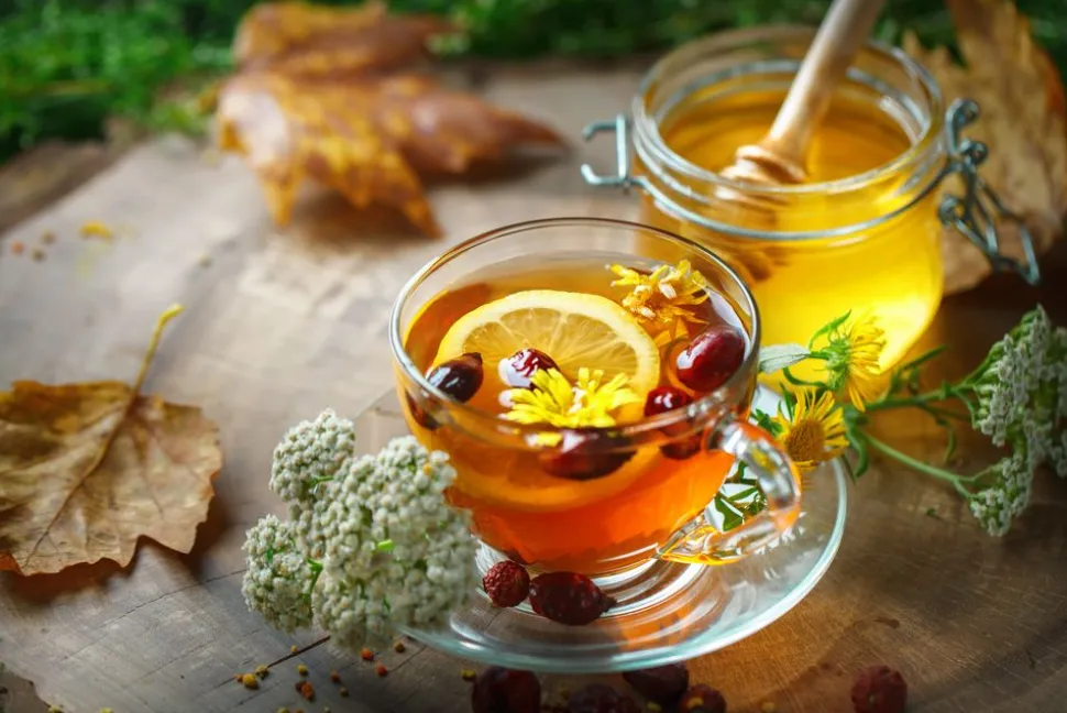 beduinentee_1.webp Beduinentee
