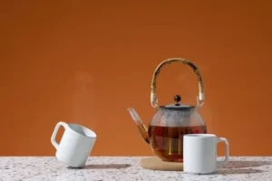 Bodum ASSAM Teekanne