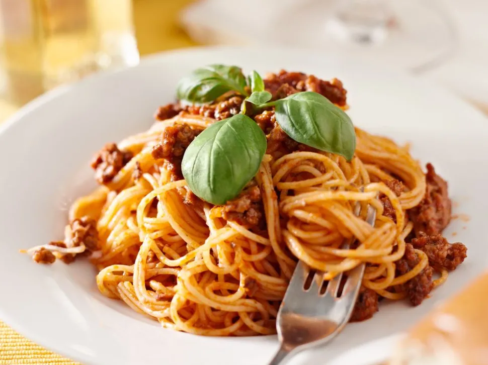 bolognese_3.webp Bolognese