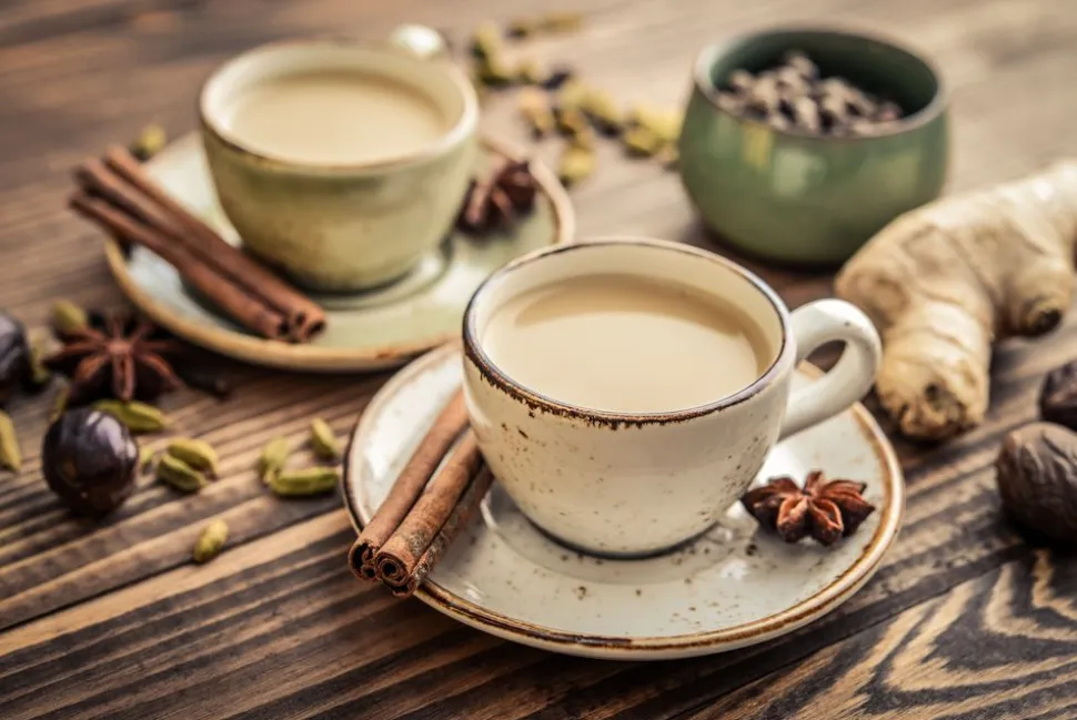 chai_tee_bengalfeuer_3.webp Chai Tee (Bengalfeuer)