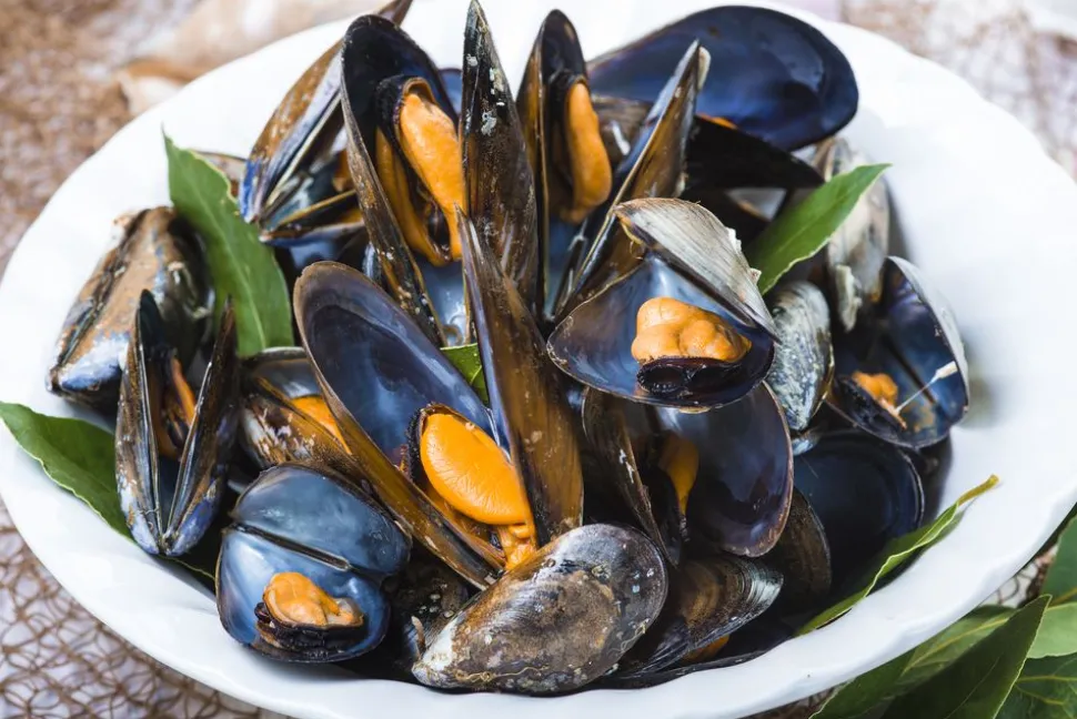 fisch__muschelsud_4.webp Fisch- & Muschelsud