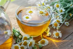 Kamillenblüten