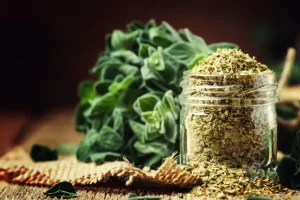 Oregano geschnitten