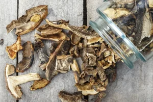 Steinpilze getrocknet ganz