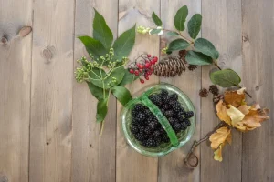 Waldbeeren Cocktail